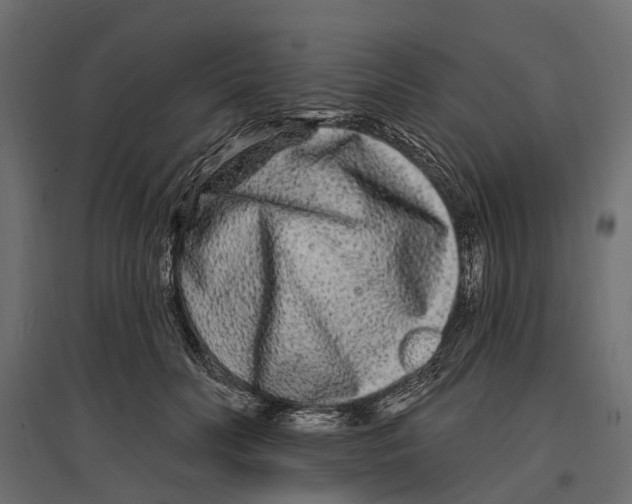 X0000096990606200803071055