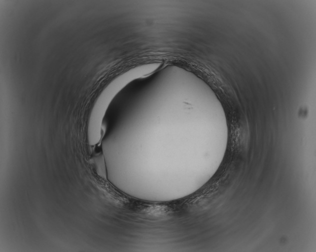 X0000096990609200803071055