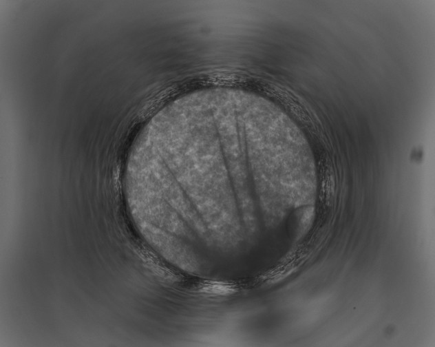 X0000096990610200803071055