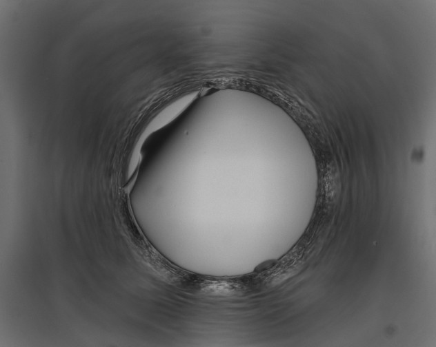 X0000096990611200803071055