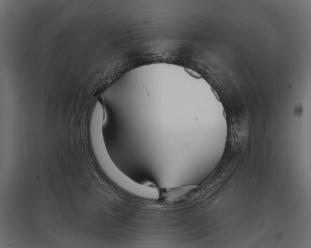 X0000096990613200803071055