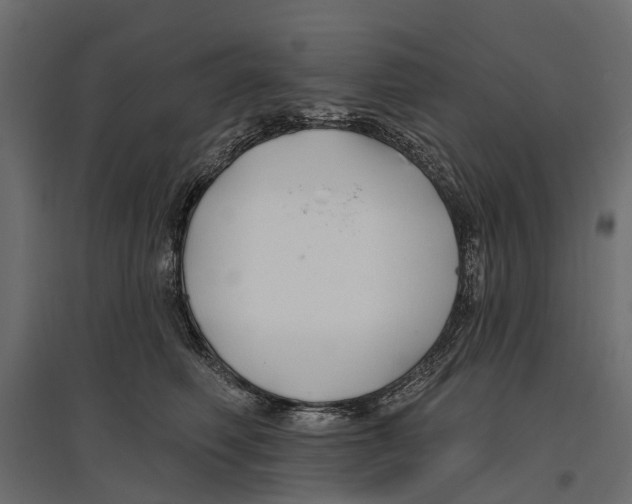 X0000096990614200803071055