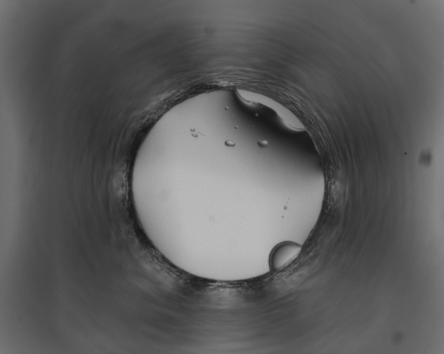 X0000096990620200803071055