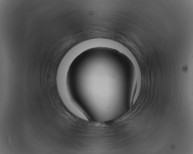 X0000096990621200803071055