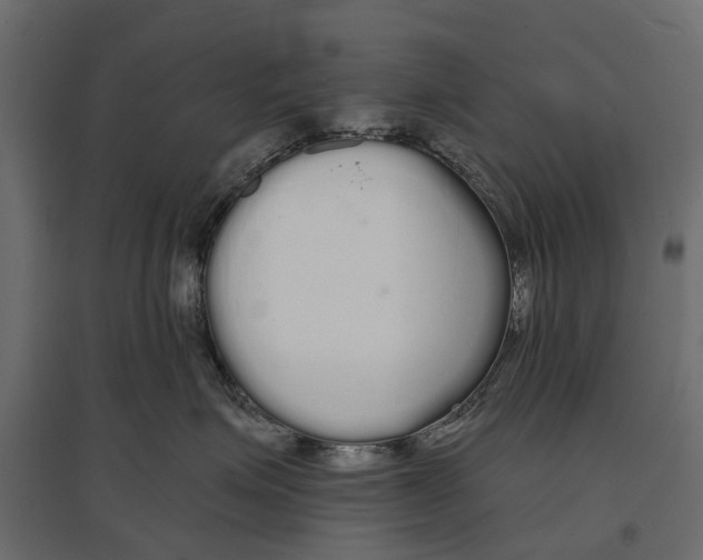 X0000096990623200803071055