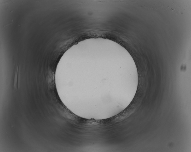 X0000096990624200803071055