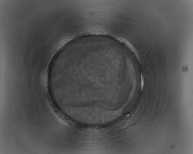 X0000096990627200803071054