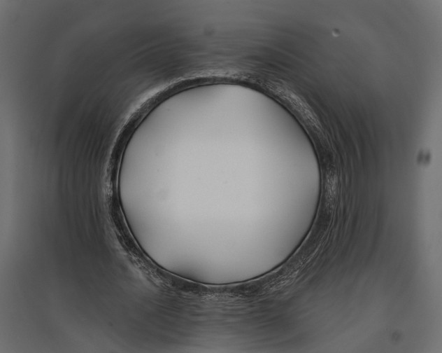 X0000096990628200803071054