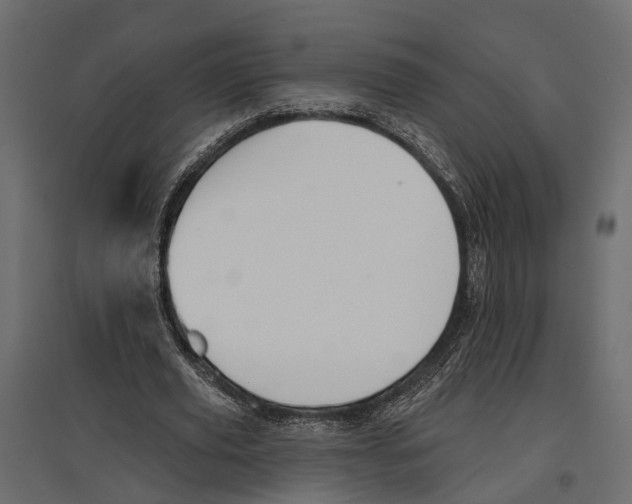 X0000096990629200803071054