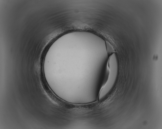 X0000096990630200803071054