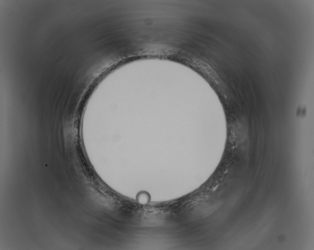 X0000096990632200803071054