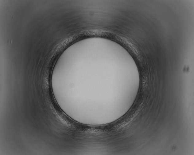 X0000096990633200803071054