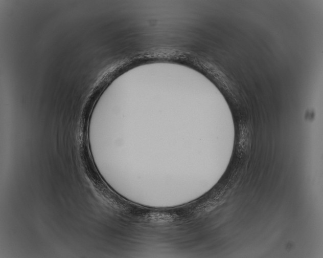 X0000096990636200803071054