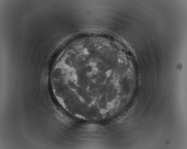 X0000096990637200803071054