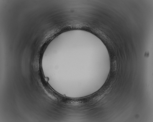 X0000096990638200803071054