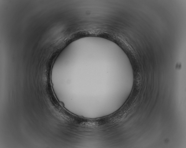 X0000096990639200803071054