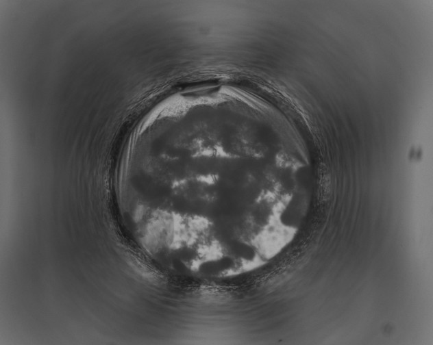 X0000096990641200803071054