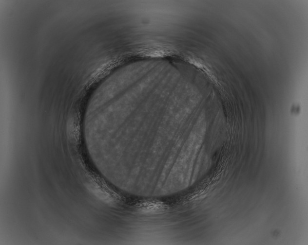 X0000096990642200803071054