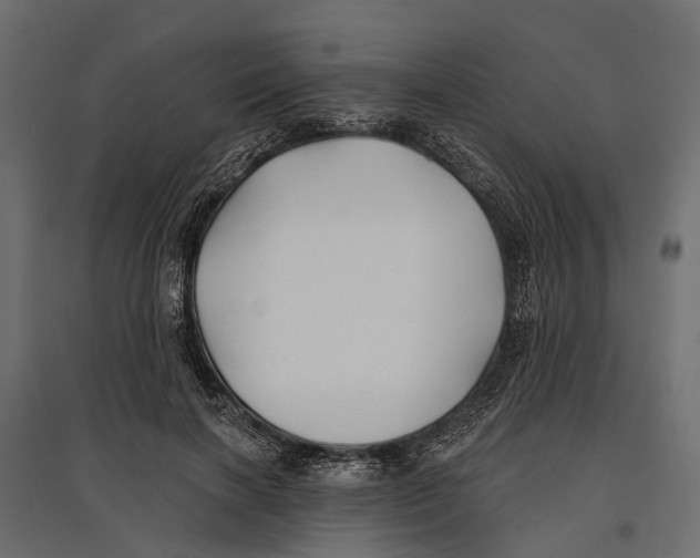 X0000096990646200803071054