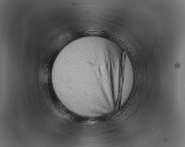 X0000096990647200803071054