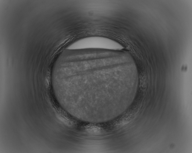 X0000096990648200803071054