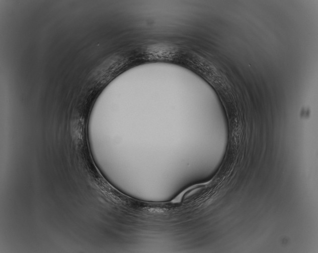 X0000096990649200803071054