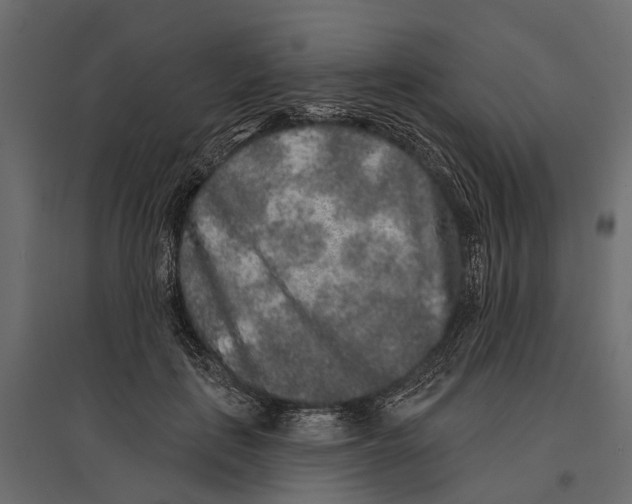 X0000096990651200803071054