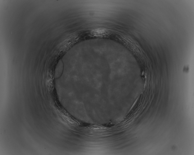 X0000096990653200803071054