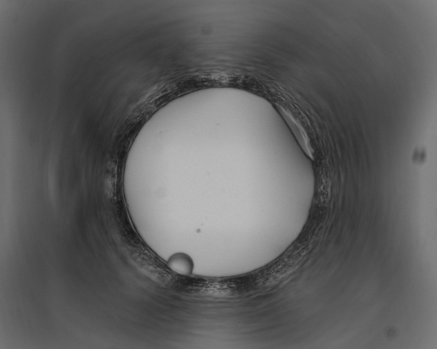 X0000096990656200803071054