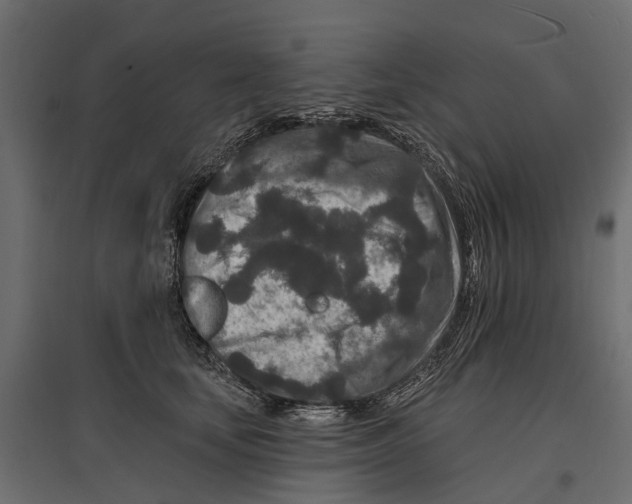 X0000096990659200803071054