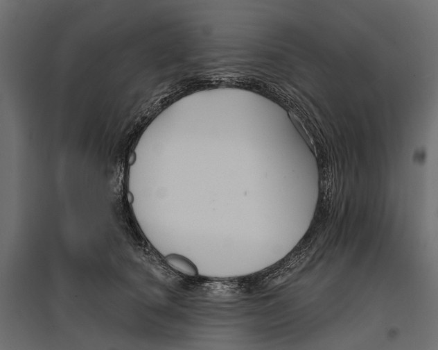 X0000096990660200803071054