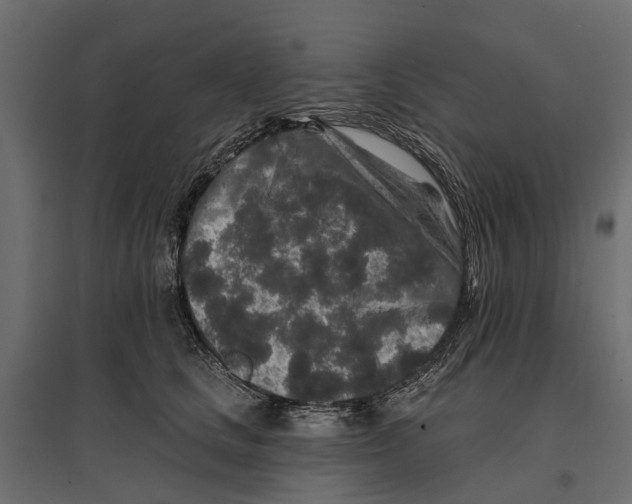 X0000096990661200803071054