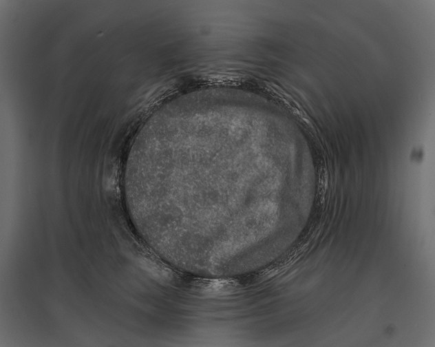 X0000096990663200803071054