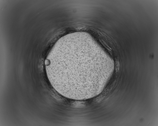 X0000096990664200803071054