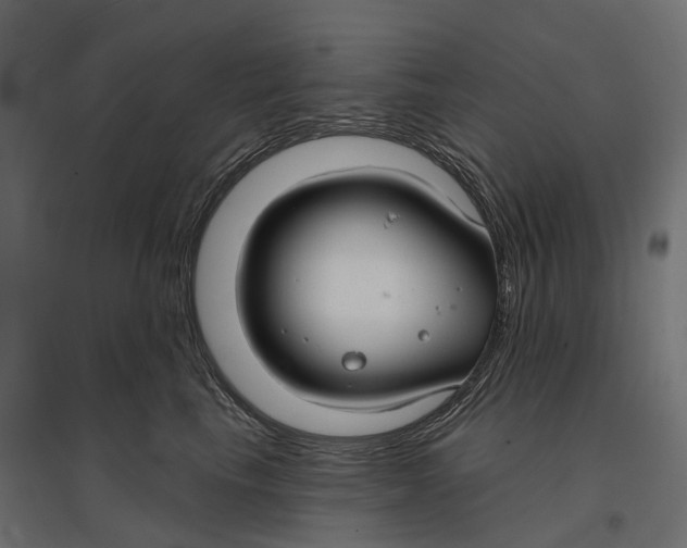 X0000096990665200803071054