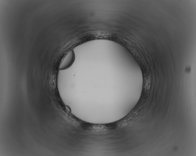 X0000096990666200803071054