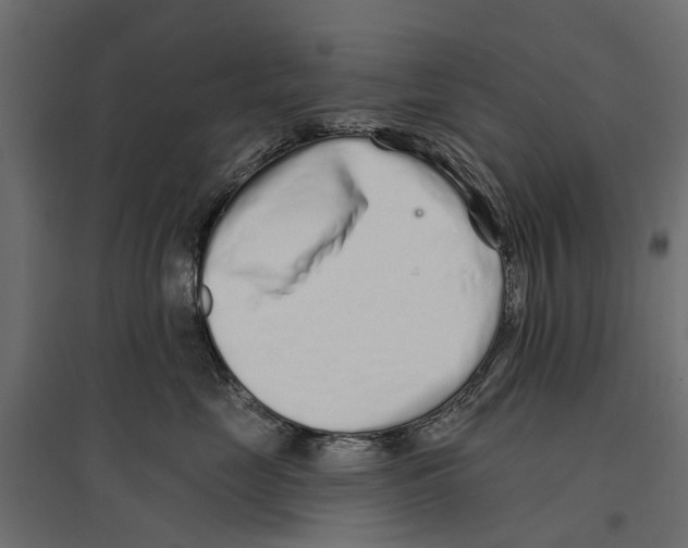 X0000096990669200803071054