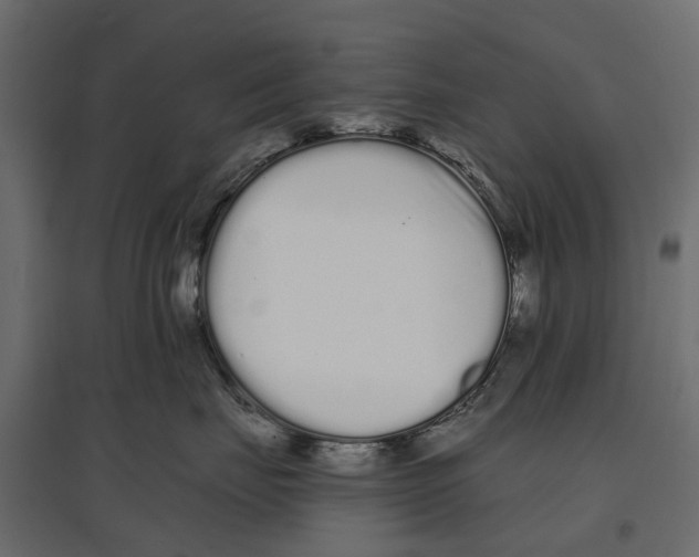 X0000096990671200803071055