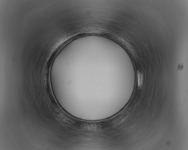 X0000096990675200803071054