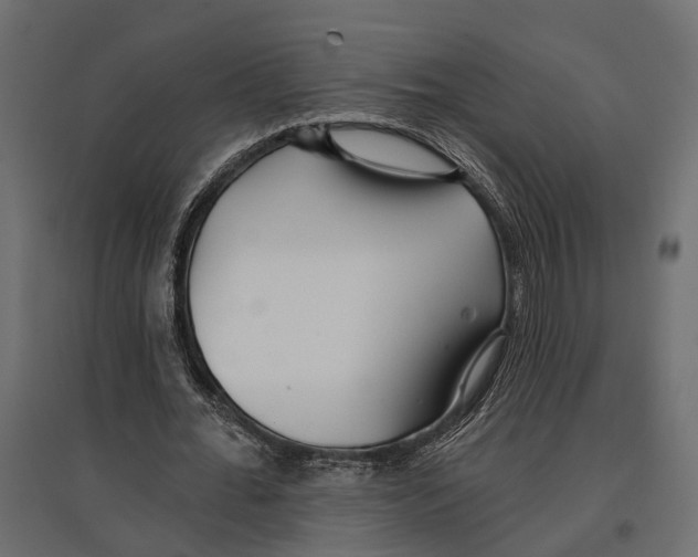 X0000096990676200803071054