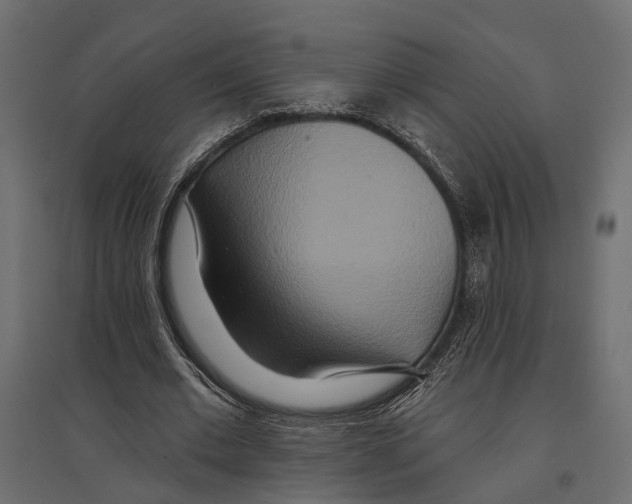 X0000096990677200803071054