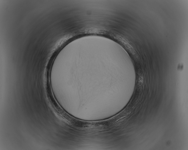 X0000096990678200803071054