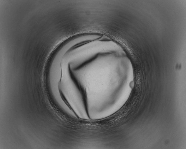 X0000096990680200803071054