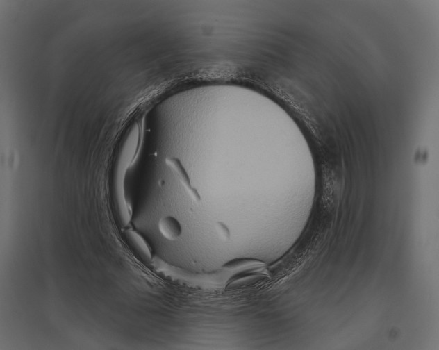 X0000096990681200803071054