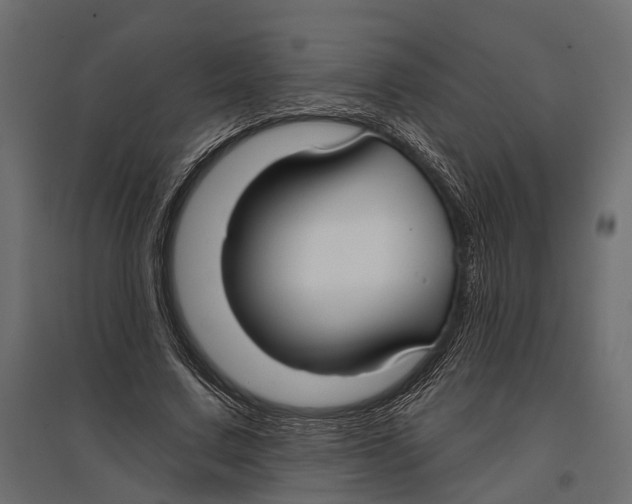 X0000096990683200803071054