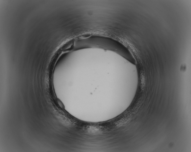 X0000096990684200803071054