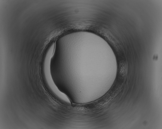 X0000096990685200803071054