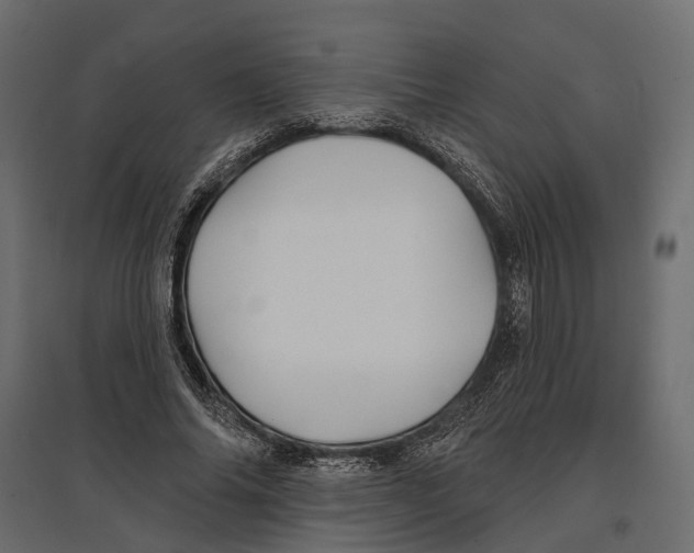 X0000096990686200803071054