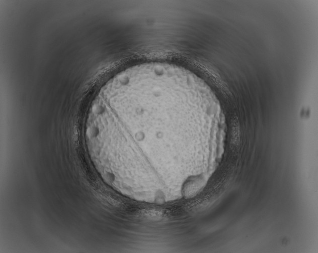 X0000096990687200803071054