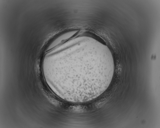 X0000096990688200803071054